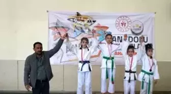 ANALİG Judo yarı final müsabakaları Erzincan'da yapıldı