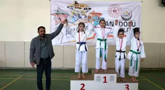 ANALİG Judo yarı final müsabakaları Erzincan'da yapıldı