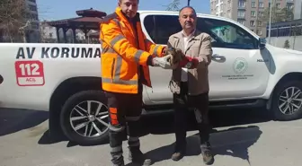 Kayseri'de yaralı halde bulunan erguvani balıkçıl kuşu tedavi altına alındı