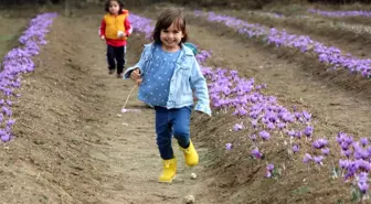 Karabük'te nüfusun 48 bin 34'ü çocuklardan oluşuyor