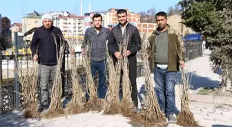 Ordu'da ipek böcekçiliği yaygınlaşıyor