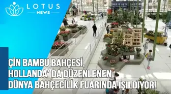 Video: Çin Bambu Bahçesi, Hollanda'da Düzenlenen Dünya Bahçecilik Fuarında Işıldıyor