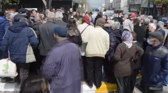 Saray'da ata tohumu fideler dağıtıldı