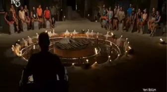 Survivor yeni takımlar! 2022 Ünlüler ve Gönüllüler yeni kadro! Yeni Ünlüler takımında kimler olacak? Yeni Gönüllüler takımında kimler olacak?