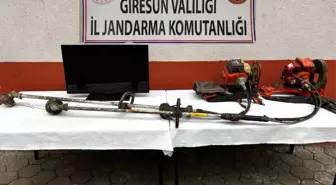 Giresun'da hırsızlık vakaları