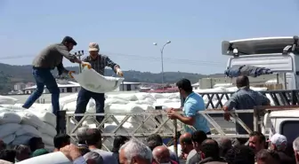 Osmaniye'de 725 arıcıya 108 ton şeker desteği sağlandı