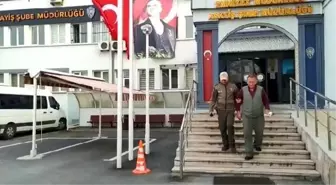 Atını, araca bağlayıp götüren sürücüye bin 55 lira ceza