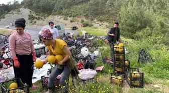 Sebze yüklü kamyon yan yattı