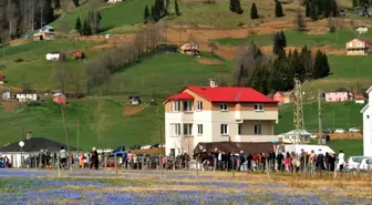 Trabzon'da, Kadıralak Yaylasının Doğal Güzelliği Korunmazsa Yok Olacak