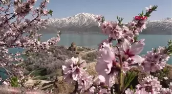 ÇİÇEKLERLE KAPLANAN AKDAMAR ADASI'NA FOTOĞRAFÇI AKINI