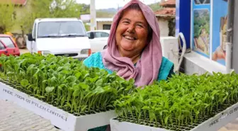 Buca Belediyesi'nden Üreticiye 100 Bin Sebze Fidesi