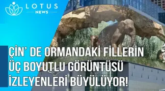 Video: Çin'de Ormandaki Fillerin Üç Boyutlu Görüntüsü İzleyenleri Büyülüyor