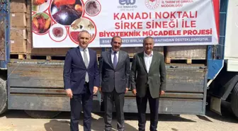 EİB, kirazda sirke sineğine karşı 50 bin tuzak kuracak