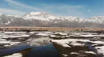 Ovacık'ta baharın tüm renk paleti tek kadrajda