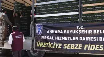 Ankara Büyükşehir'den Başkentli Üreticiye Sebze Fidesi Desteği