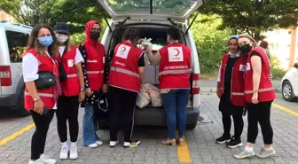 Kızılay aracını kirli gören Fatma Teyze'nin hareketi duygulandırdı