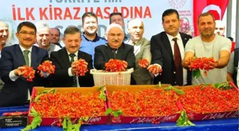 Manisa'da sezonun ilk kirazı 700 TL'den satıldı