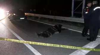 Yaşlı adam, Kadir gecesi için camiye giderken kazada öldü