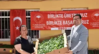 1 milyon 153 bin Ata Tohumu'ndan fide Muğla çiftçisiyle buluştu