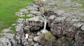 Ağrı'da kar sularıyla beslenen şelalede ilkbahar güzelliği