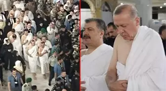 Cumhurbaşkanı Erdoğan ve bakanların tavaf ettiği anlar! Etten duvar örüldü