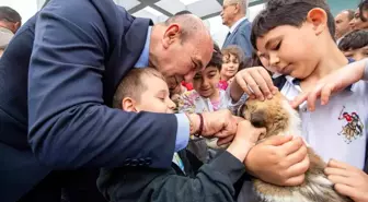 Sahipsiz dostlar İzmir'de emin ellerde
