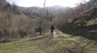 TRABZON'DA ÇAĞRILARA UYULDU, MUTLULUĞA KURŞUN SIKILMADI
