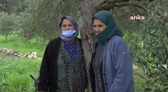 Enerji ve Tabii Kaynaklar Bakanlığı, Zeytinlikleri Madenciliğe Açan Yönetmeliği Savundu: 'Her Maden İşletme Faaliyetinin Kimyevi Atık Bırakacağının,...