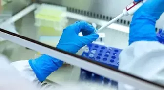 Dünyada gizemli hepatit vakaları 228'e yükseldi