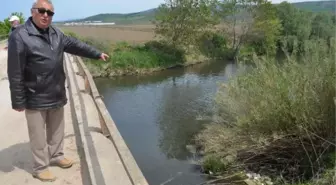 GÖNEN VE SUSURLUK ÇAYLARI, MARMARA'YA ZEHİR TAŞIYOR