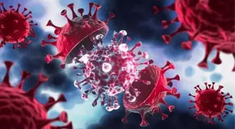 16 ülkede görülen 'gizemli hepatit' virüsü Türkiye'de var mı? Uzmanlar yanıtladı