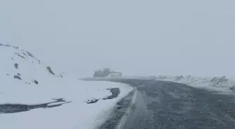 Artvin'in yüksek kesimlerinde kar etkili oldu
