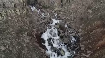 Çır Şelalesi ve lalelerle bezenen Bingöl Ovası doğaseverleri cezbediyor