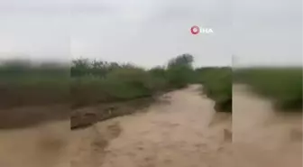 Elazığ'da dereler taştı, su altında kalan tarım arazileri zarar gördü