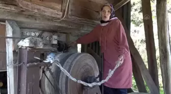 Ev ve arazilerine ilkel teleferikle ulaşıyorlar