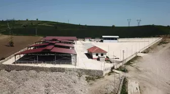Havza Kapalı Canlı Hayvan Pazarı yarın hizmete girecek