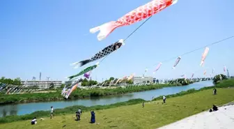 Japonya'da Çocuk Günü'nde Geleneksel Kutlama