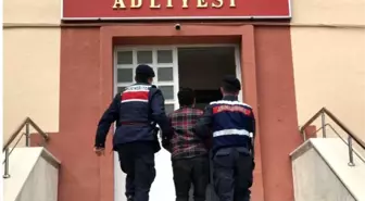 Kablo hırsızları yakalandı