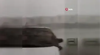 Meksika'da şiddetli yağış sele neden oldu