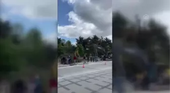 Meydan düzenlemesinde ağaç kesilmesine tepki