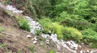 Sinop'ta Ormana Atılan Çöpler Tepki Çekti