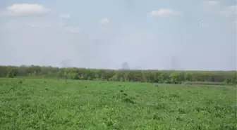 Ukraynalı askerlerin cephe hattındaki bekleyişi
