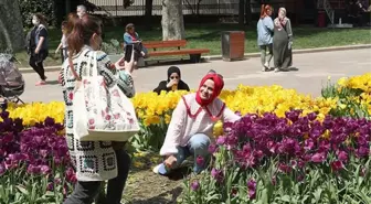 Gülhane Parkı'nda Lale Bayramı erken bitti! Ortaya çıkan tablo içler acısı