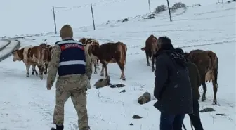 Hayvanlarını otlatırken karda mahsur kalan kadın, 4 saatte kurtarıldı