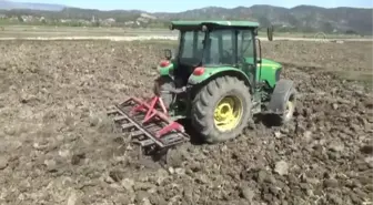 Sinop'ta 19 bin dekar alanda çeltik üretimine başlandı