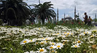 Tarihi Yarımada'da turist yoğunluğu