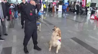 Jandarma Genel Komutanı Orgeneral Çetin, Karayolu Trafik Haftası etkinliğine katıldı