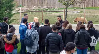 İsviçre'den Kayseri'ye gelen veteriner fakültesi öğrencileri hayvanat bahçesini gezdi