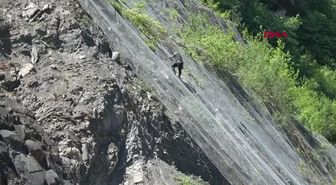 BARTIN-KARABÜK YOLUNDA ONARIM