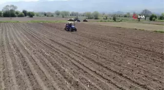 Coğrafi işaretli Bolu patatesi toprakla buluştu